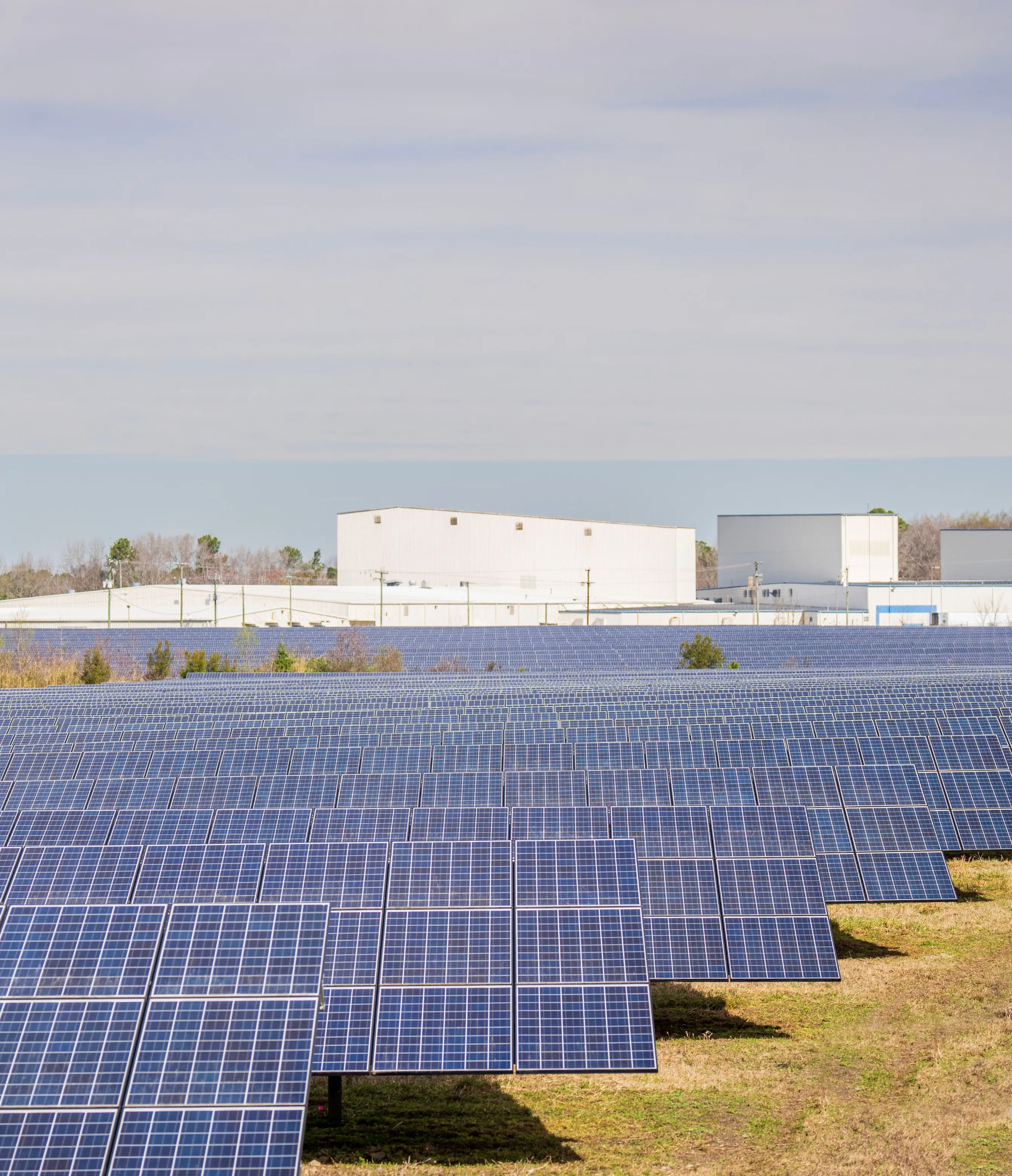 solar-service-tirupur